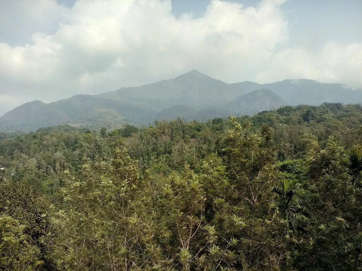אתר נופש מלון קאלפטה Olive Mountain Hill View הודו