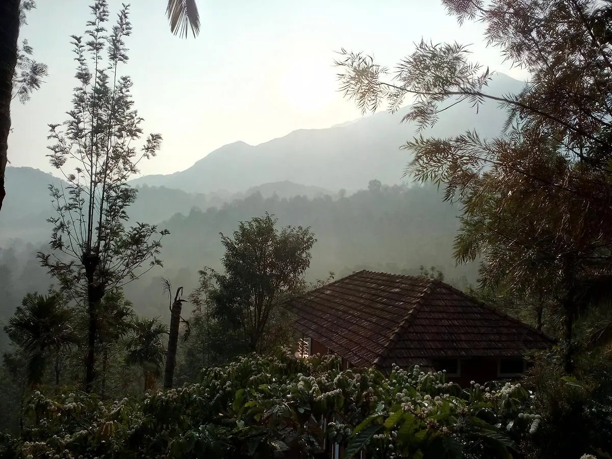 Olive Mountain Hill View Otel Kalpatta Hindistan