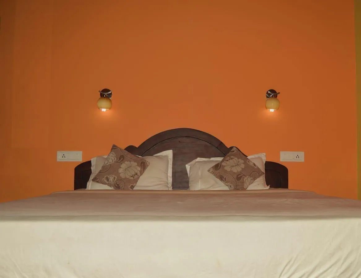 Resort Olive Mountain Hill View Otel Kalpatta Hindistan